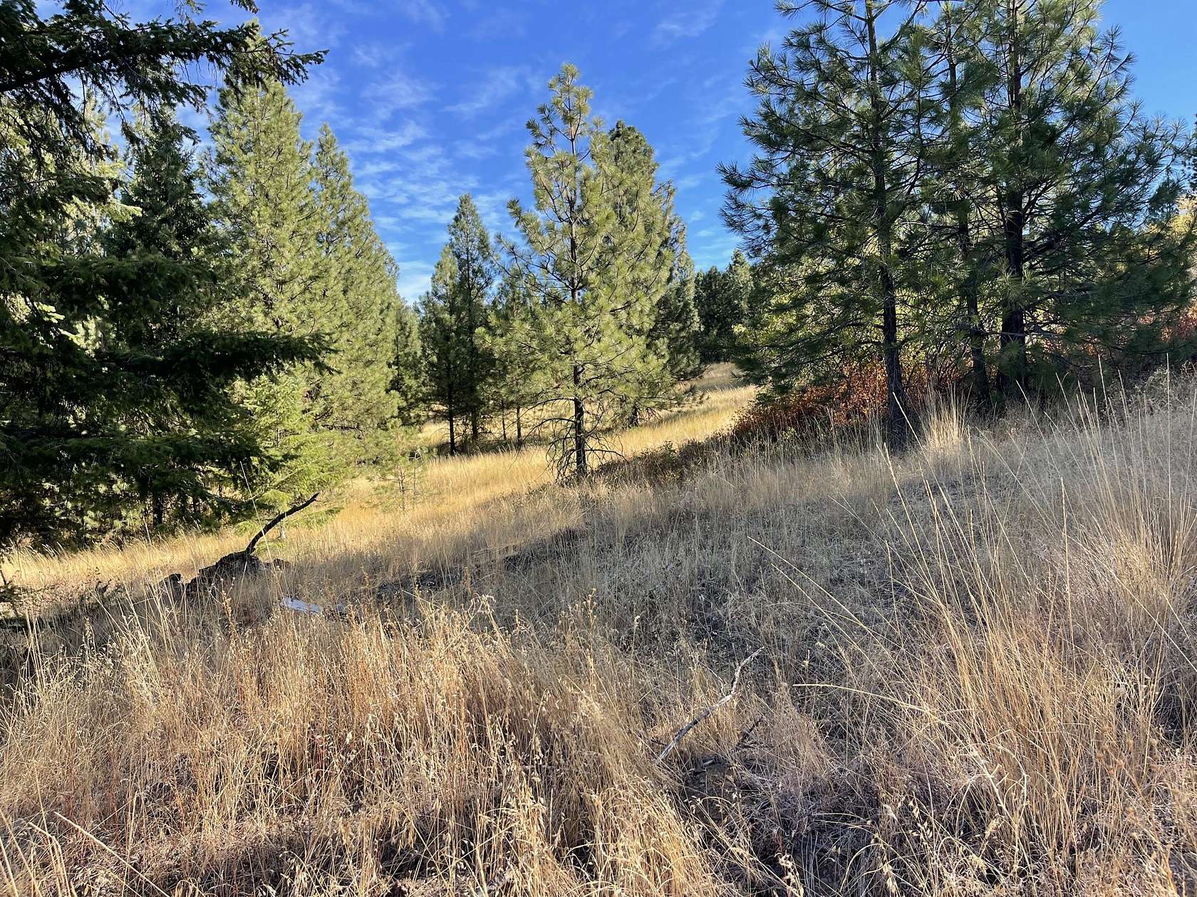 60 Acres of Recreational Land for Sale in Hunters, Washington