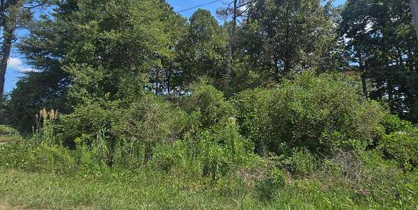 Residential Land for Sale in Haleyville, Alabama