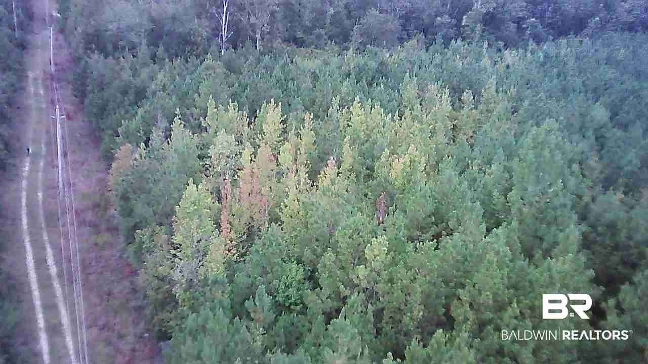 31 Acres of Recreational Land for Sale in Evergreen, Alabama
