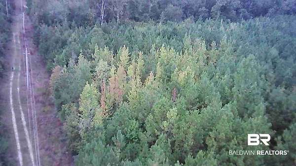 31 Acres of Recreational Land for Sale in Evergreen, Alabama