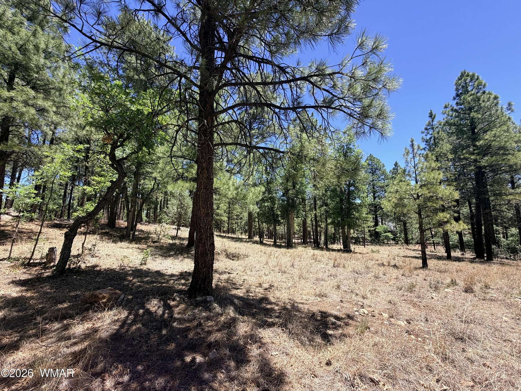 1 Acre of Residential Land for Sale in Happy Jack, Arizona