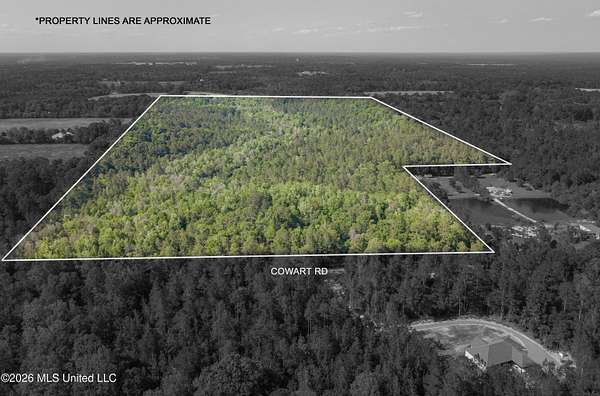 74 Acres of Recreational & Residential Land for Sale in Lucedale, Mississippi