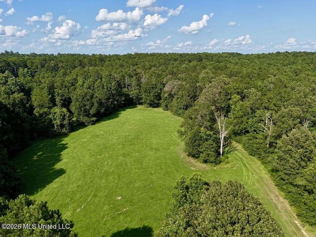 57.1 Acres of Recreational & Residential Land for Sale in Wesson, Mississippi