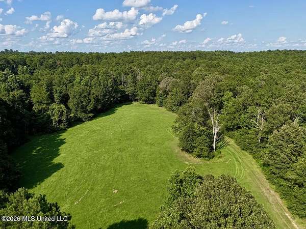 57.1 Acres of Recreational & Residential Land for Sale in Wesson, Mississippi