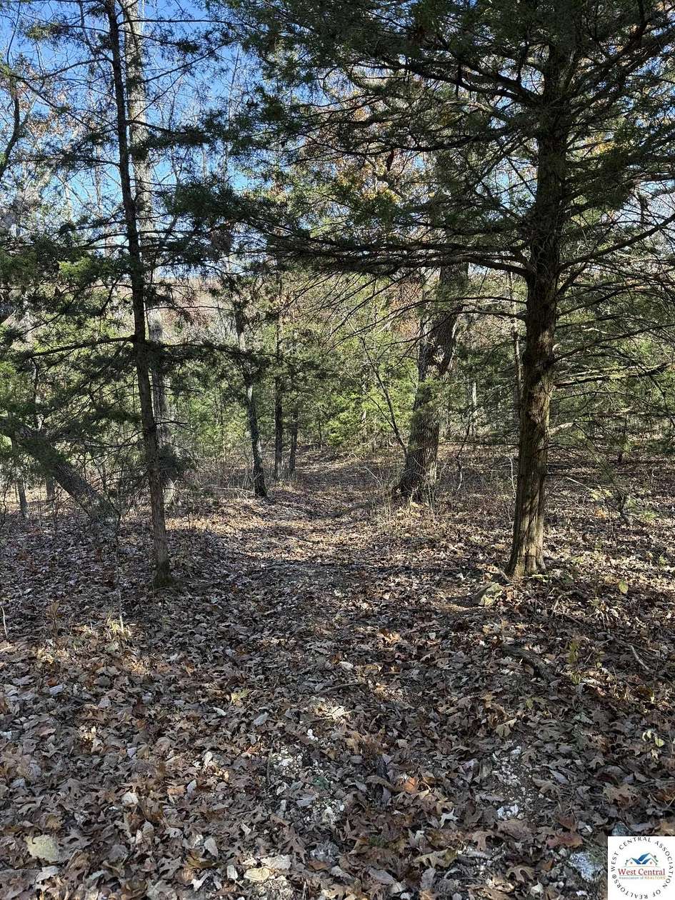 18.1 Acres of Recreational & Residential Land for Sale in Lincoln, Missouri