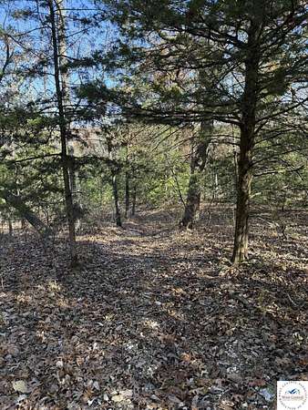 18.1 Acres of Recreational & Residential Land for Sale in Lincoln, Missouri