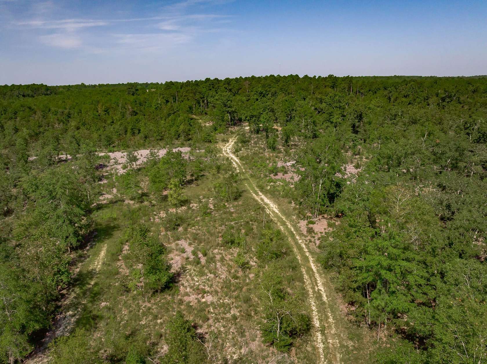 145 Acres of Recreational Land for Sale in Williston, South Carolina