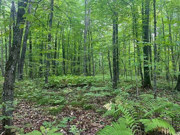 8 Acres of Residential Land for Sale in Mckinley Town, Wisconsin
