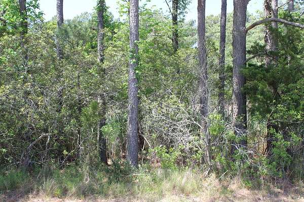 0.22 Acres of Residential Land for Sale in Greenbackville, Virginia