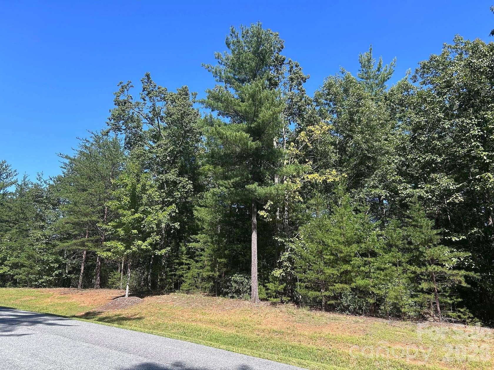1.48 Acres of Residential Land for Sale in Nebo, North Carolina
