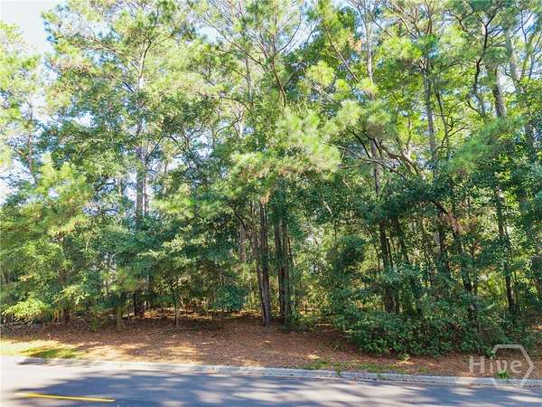 0.52 Acres of Residential Land for Sale in Savannah, Georgia