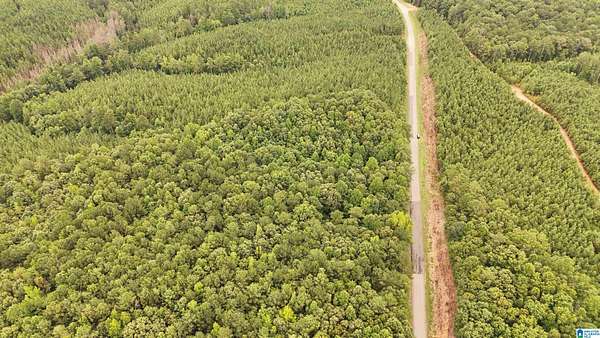 6.33 Acres of Residential Land for Sale in Fruithurst, Alabama