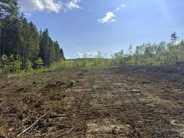 124 Acres of Recreational & Residential Land for Sale in Farmington, Maine