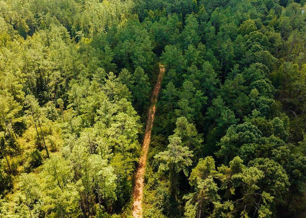 320 Acres of Recreational Land for Sale in Paris, Mississippi