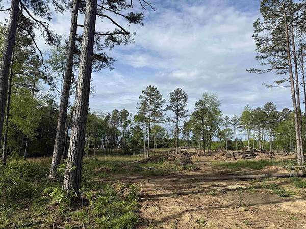10 Acres of Commercial Land for Sale in Heber Springs, Arkansas