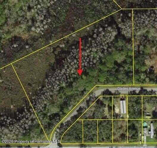 3 Acres of Residential Land for Sale in New Port Richey, Florida