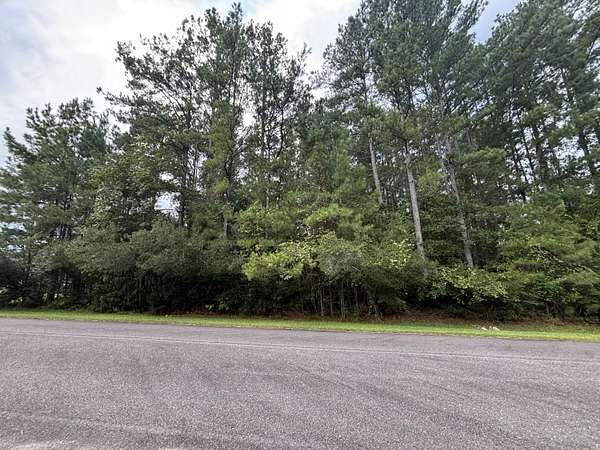1 Acre of Residential Land for Sale in Moncks Corner, South Carolina