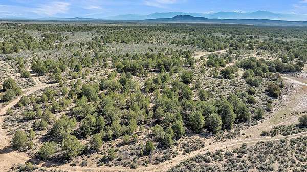 20 Acres of Recreational Land for Sale in Carson, New Mexico
