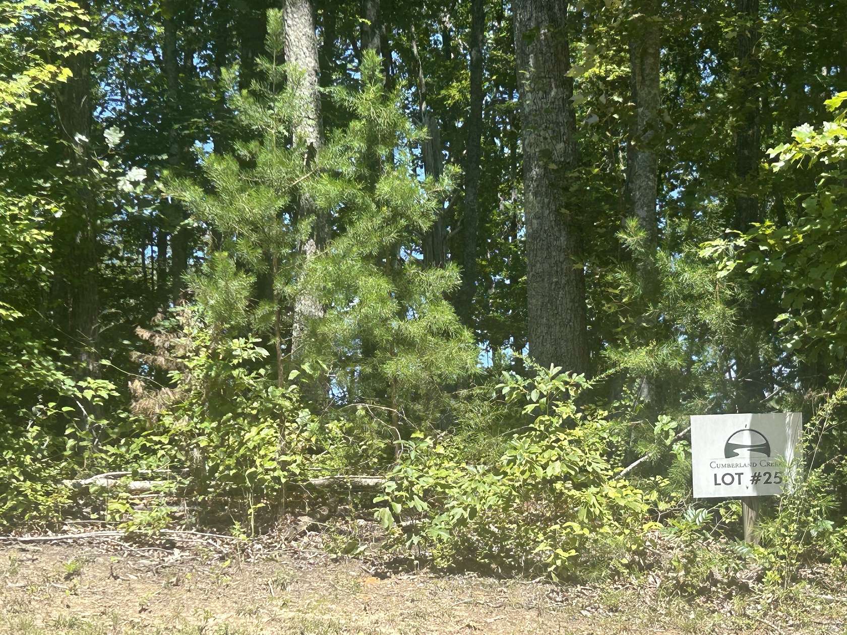 6.2 Acres of Residential Land for Sale in Grandview, Tennessee