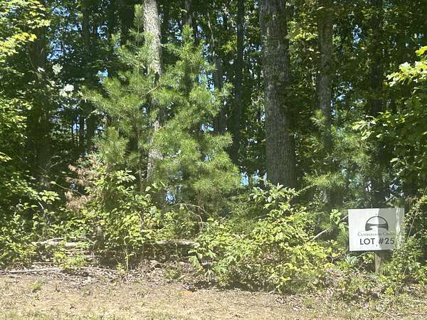 6.2 Acres of Residential Land for Sale in Grandview, Tennessee