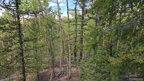 6 Acres of Residential Land for Sale in San Luis, Colorado