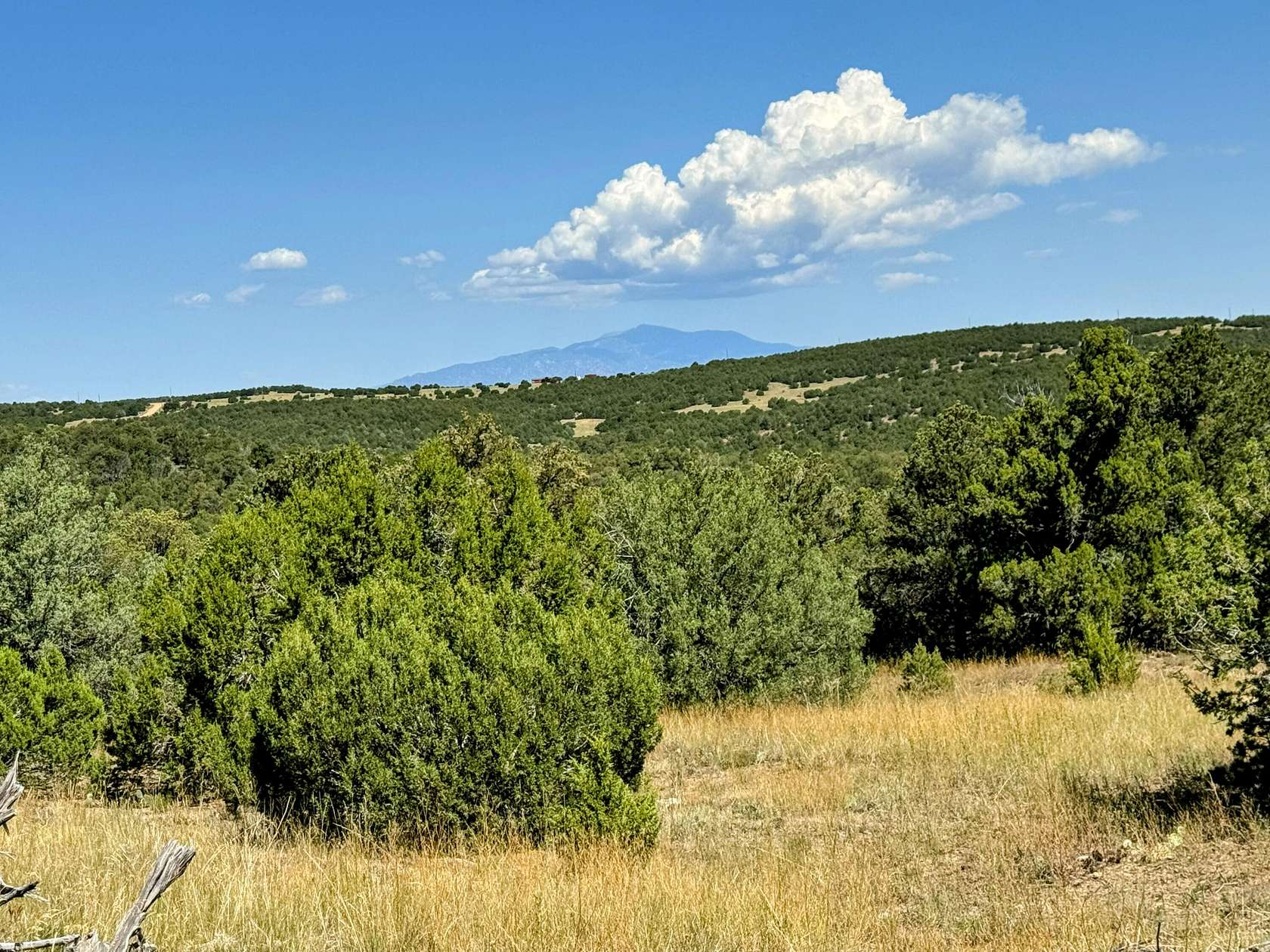 36 Acres of Land for Sale in Walsenburg, Colorado
