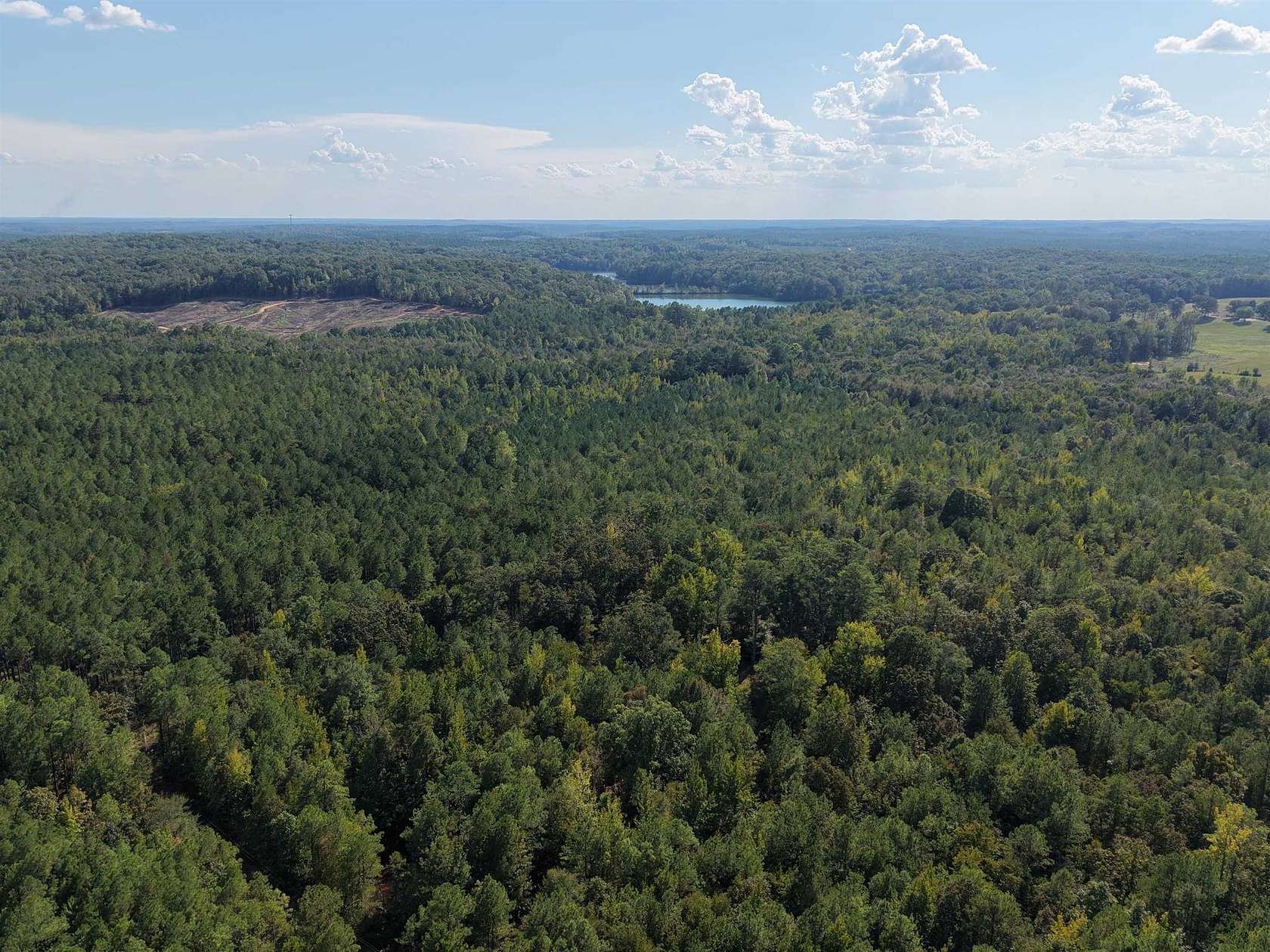 71 Acres of Recreational & Residential Land for Sale in Sulligent, Alabama
