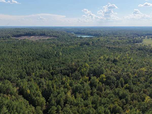 71 Acres of Recreational & Residential Land for Sale in Sulligent, Alabama