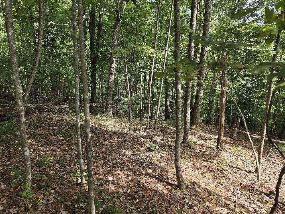4.6 Acres of Residential Land for Sale in Galax, Virginia