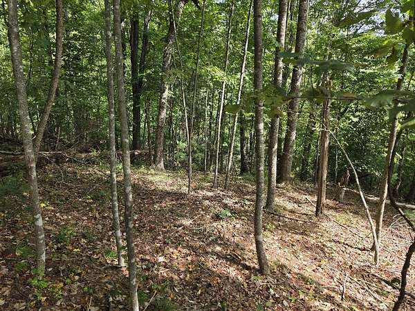 4.6 Acres of Residential Land for Sale in Galax, Virginia