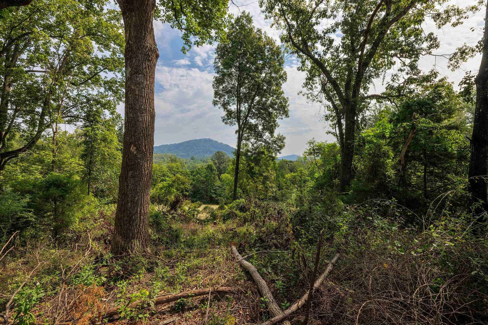4.65 Acres of Residential Land for Sale in Afton, Virginia