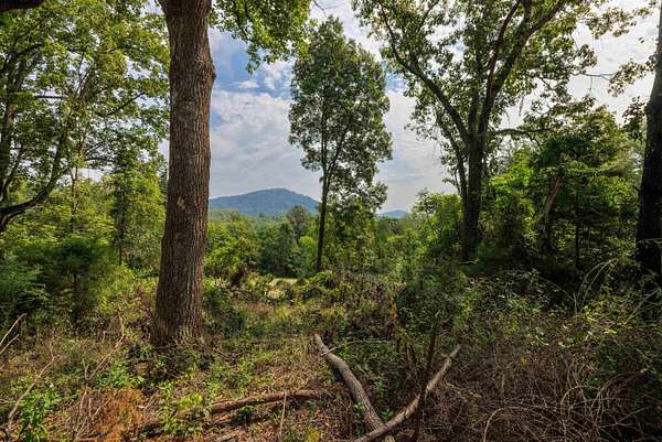 4.65 Acres of Residential Land for Sale in Afton, Virginia