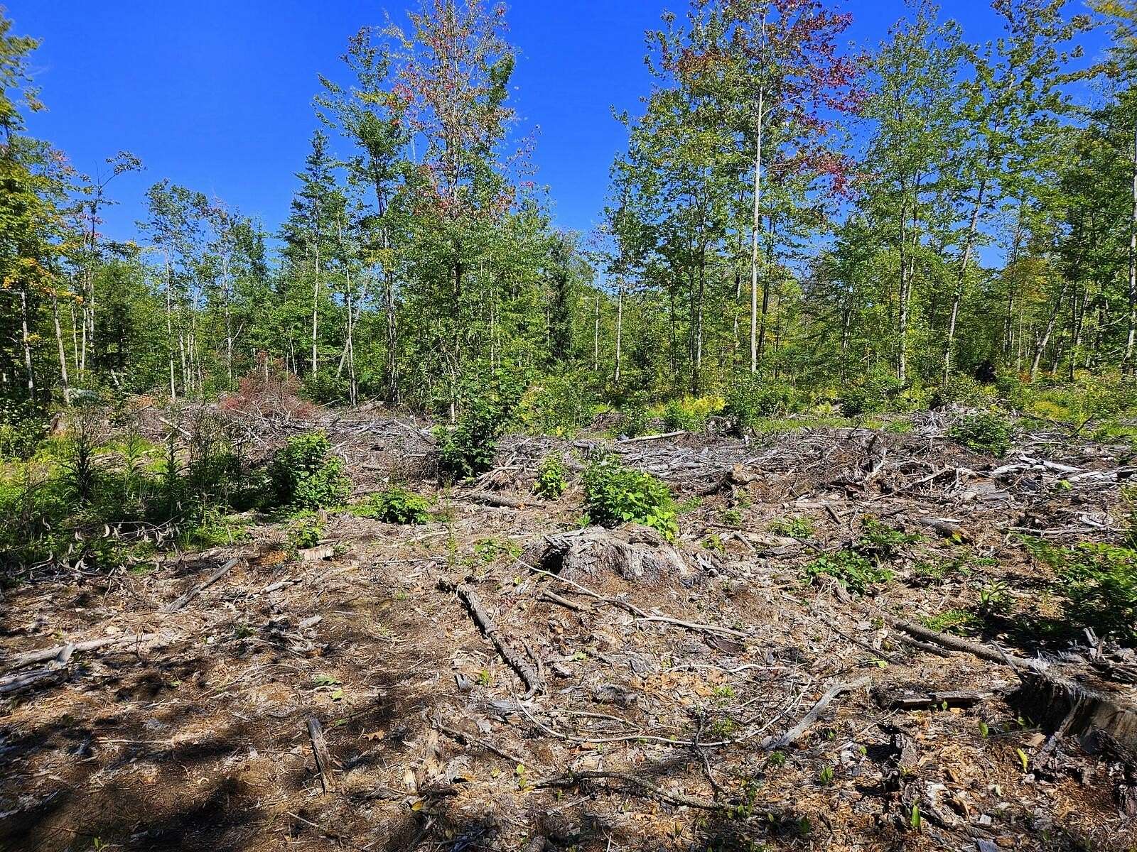 5 Acres of Residential Land for Sale in New Sharon, Maine