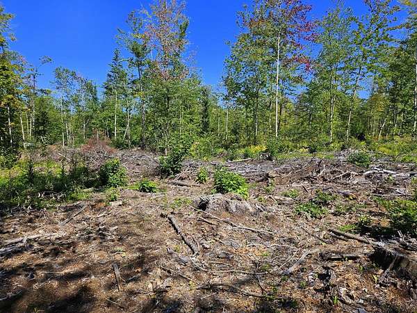 5 Acres of Residential Land for Sale in New Sharon, Maine