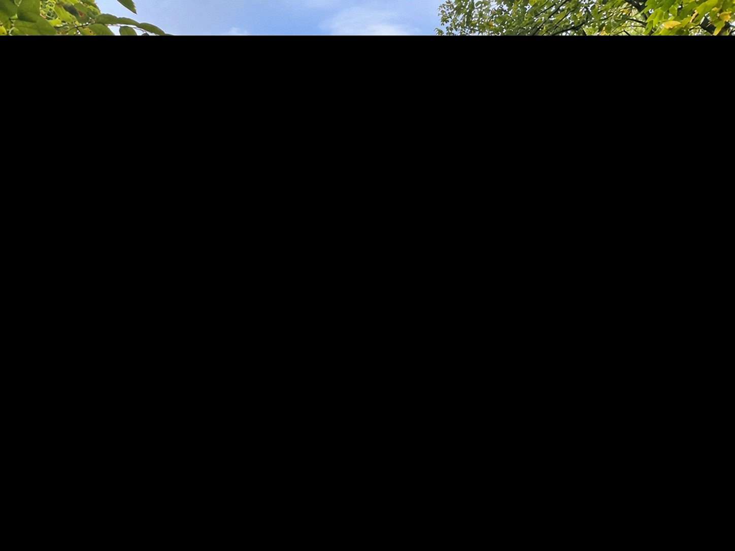 10 Acres of Residential Land for Sale in Mckinley Town, Wisconsin