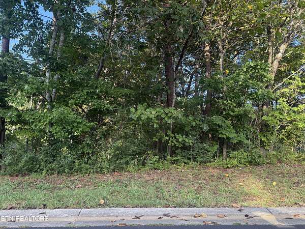 0.33 Acres of Residential Land for Sale in Loudon, Tennessee