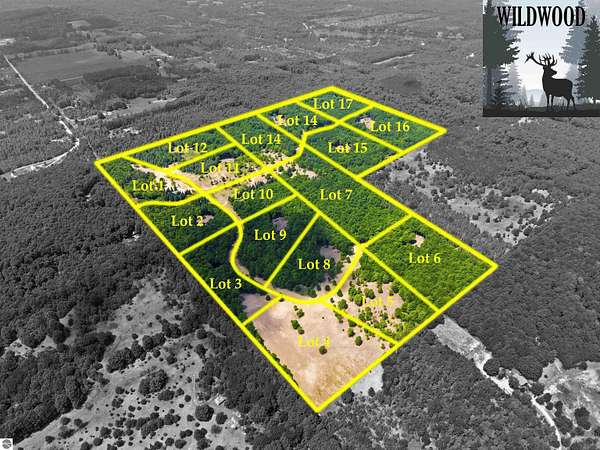 9.17 Acres of Residential Land for Sale in Fife Lake, Michigan