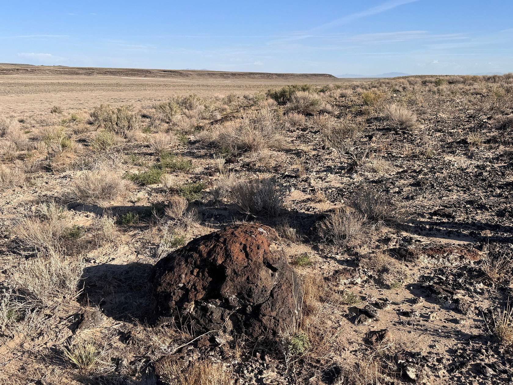 50 Acres of Land for Sale in Delta, Utah