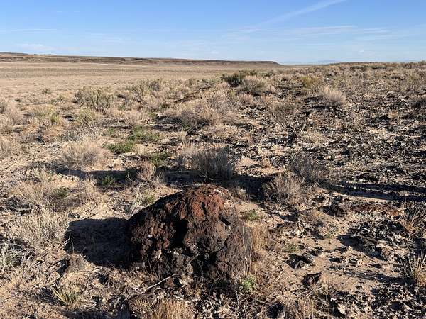 50 Acres of Land for Sale in Delta, Utah