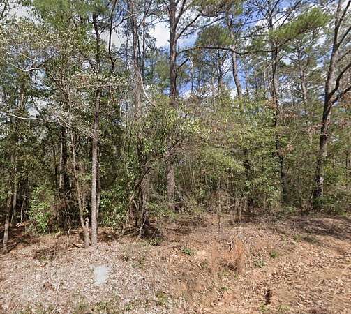 1 Acre of Residential Land for Sale in Abbeville, Alabama