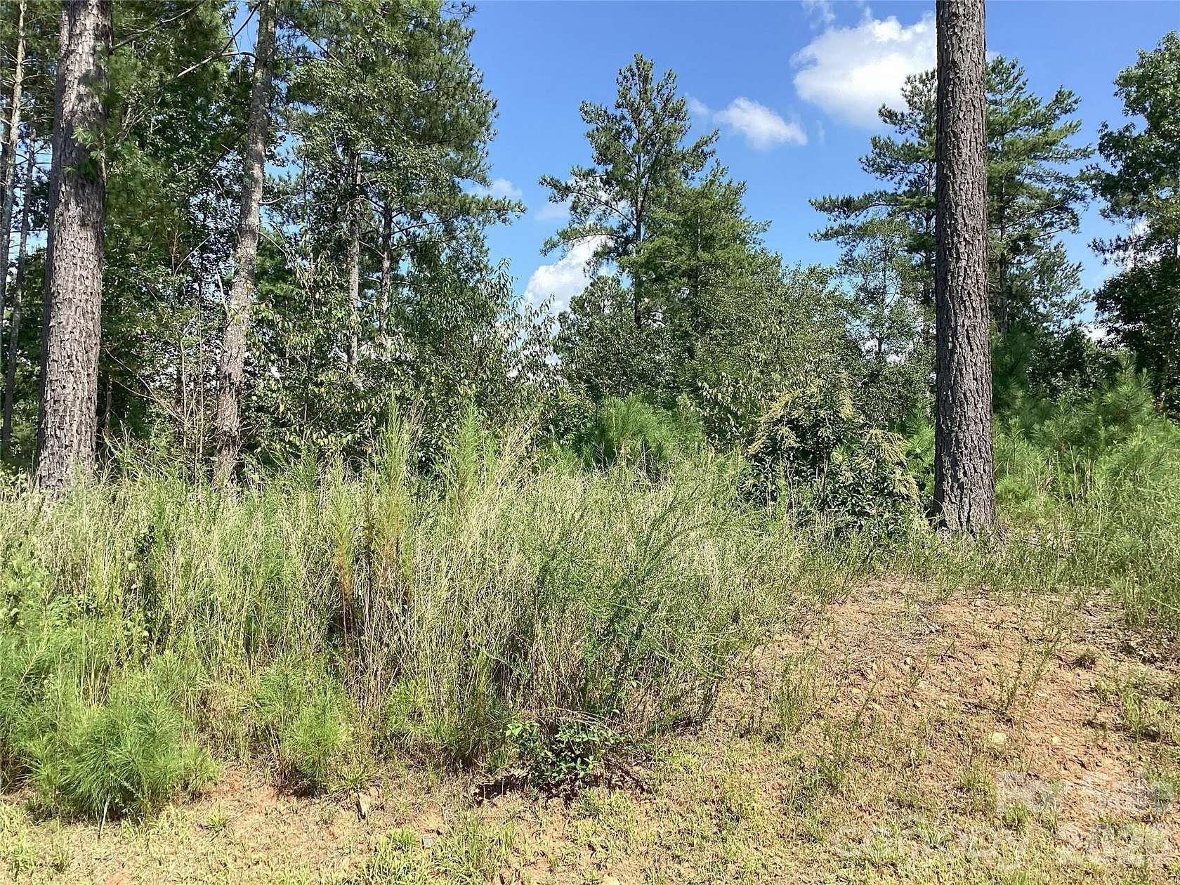 1.65 Acres of Residential Land for Sale in Connelly Springs, North Carolina