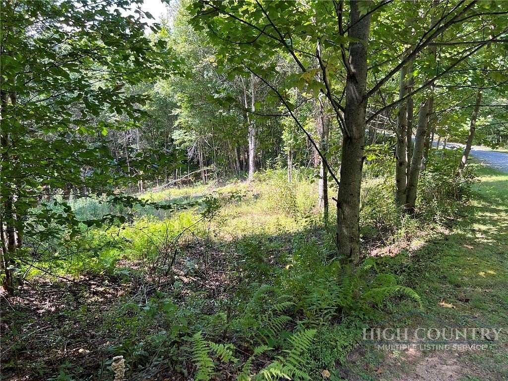 1 Acre of Residential Land for Sale in Deep Gap, North Carolina