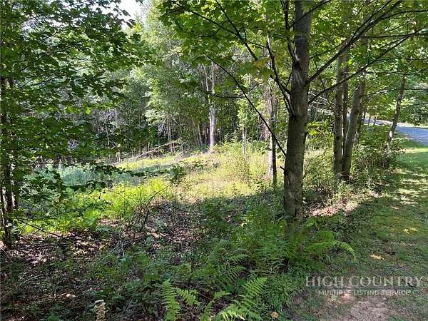 1 Acre of Residential Land for Sale in Deep Gap, North Carolina