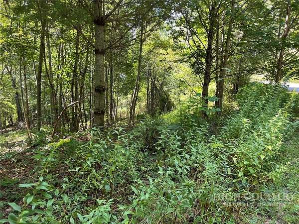 1 Acre of Residential Land for Sale in Deep Gap, North Carolina
