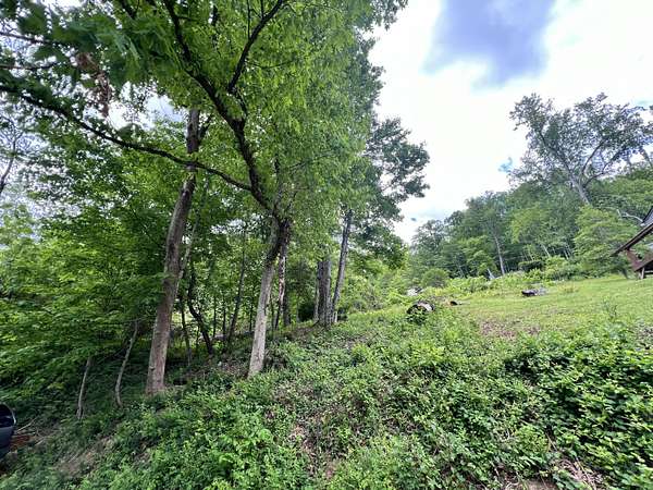 0.41 Acres of Residential Land for Sale in Gauley Bridge, West Virginia