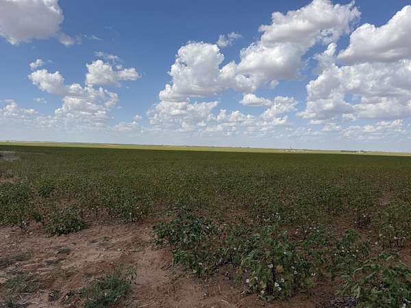 160 Acres of Land for Sale in Lamesa, Texas
