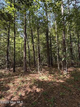 1.22 Acres of Residential Land for Sale in Carthage, North Carolina