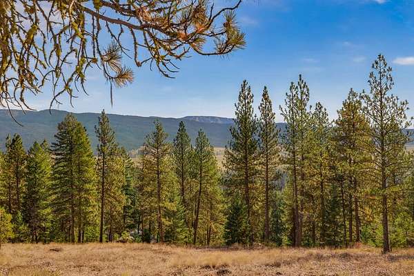 5 Acres of Residential Land for Sale in New Meadows, Idaho