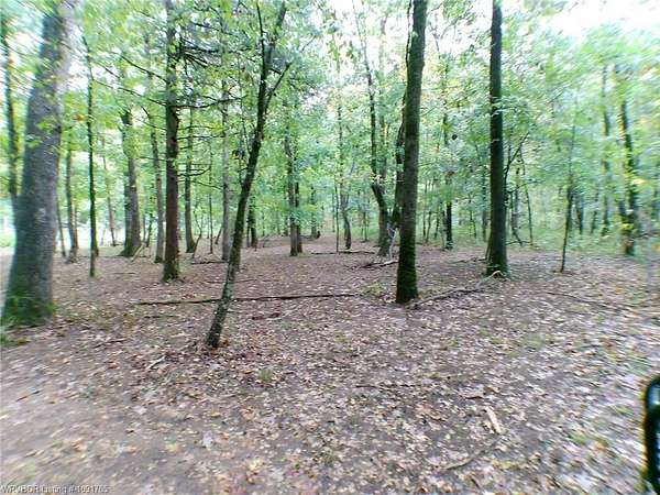 2 Acres of Land for Sale in Ozark, Arkansas