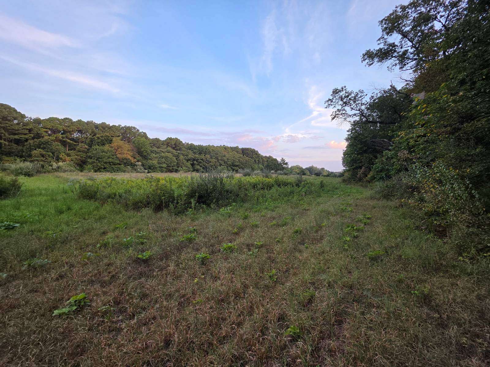 10 Acres of Recreational & Residential Land for Sale in Fairfield, Illinois